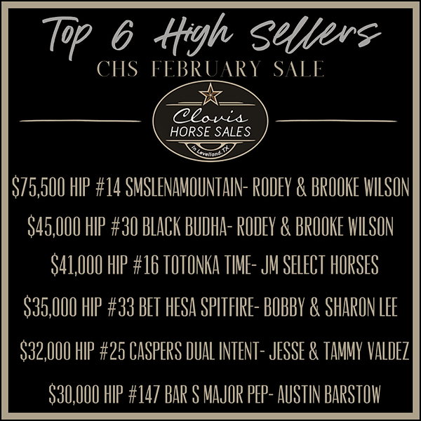 Sale Results Clovis Horse Sales